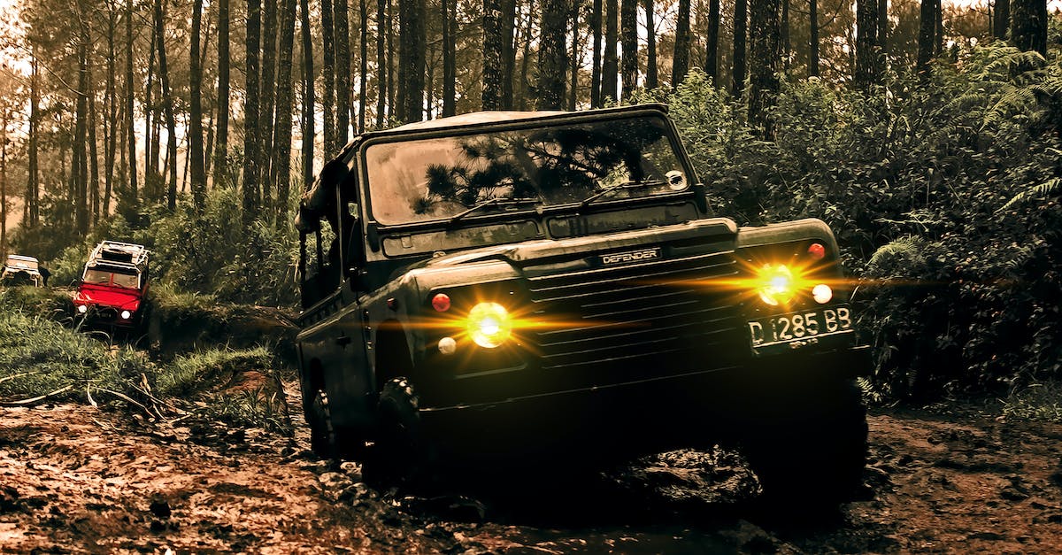 Macchine elettriche radiocomandate: divertimento ad alta velocità